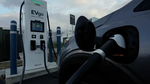 electric vehicle